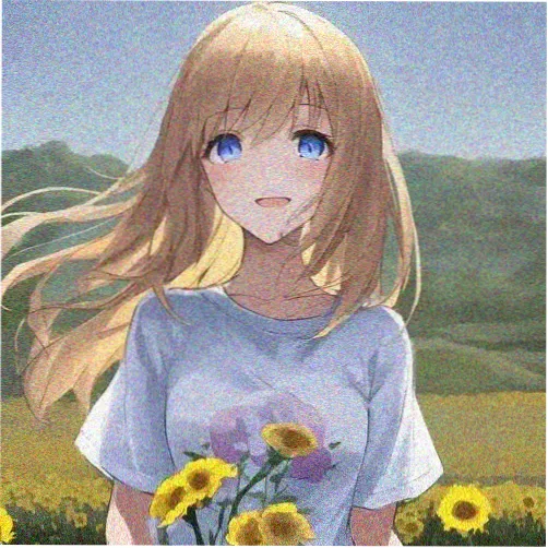 读者白露未晞的头像